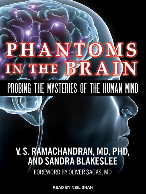 Phantom brain